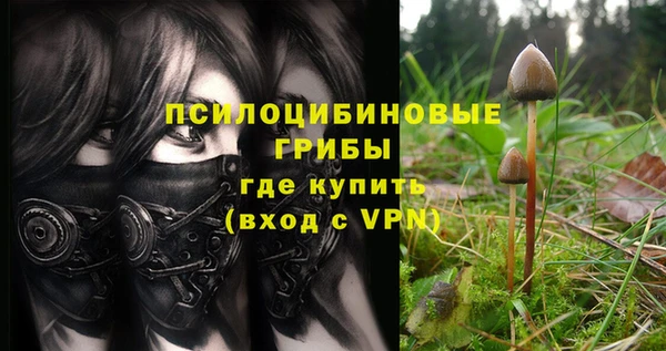 трава Магас