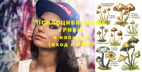 трава Магас