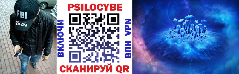 Купить закладки  Клинцы  Псилоцибиновые грибы Psilocybe 
